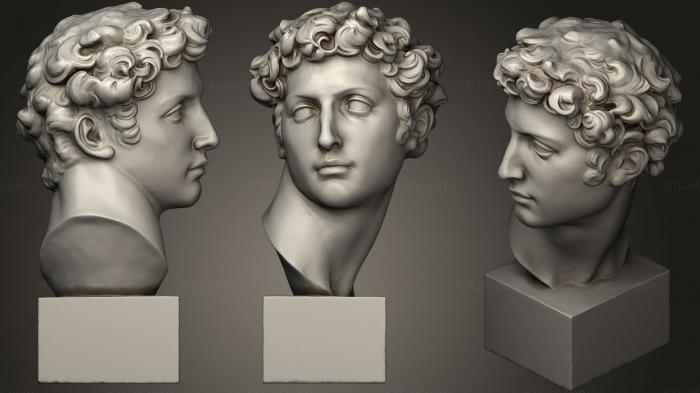 Бюсты и головы античные и исторические (Juliano II de Mdicis Giuliano di Medici, BUSTA_0660) 3D модель для ЧПУ станка